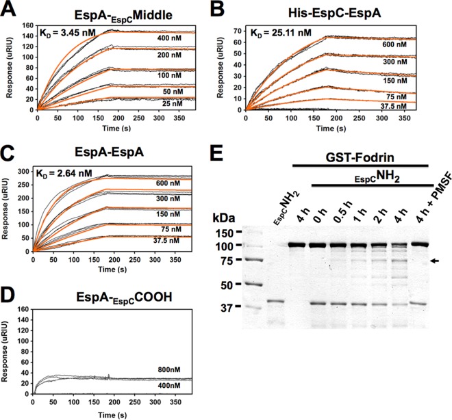 FIG 2 