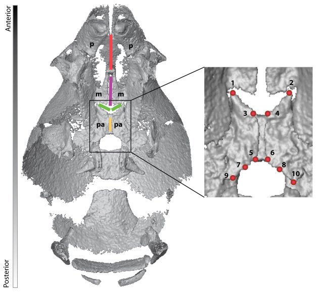 Fig. 1.