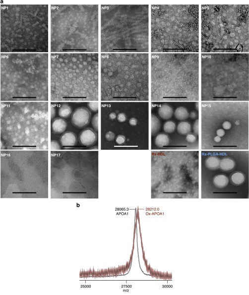 Fig. S1.