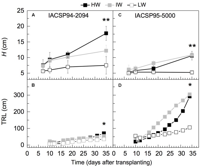 FIGURE 4
