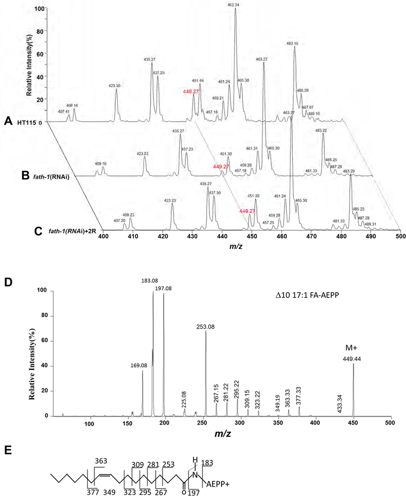 Figure 5.