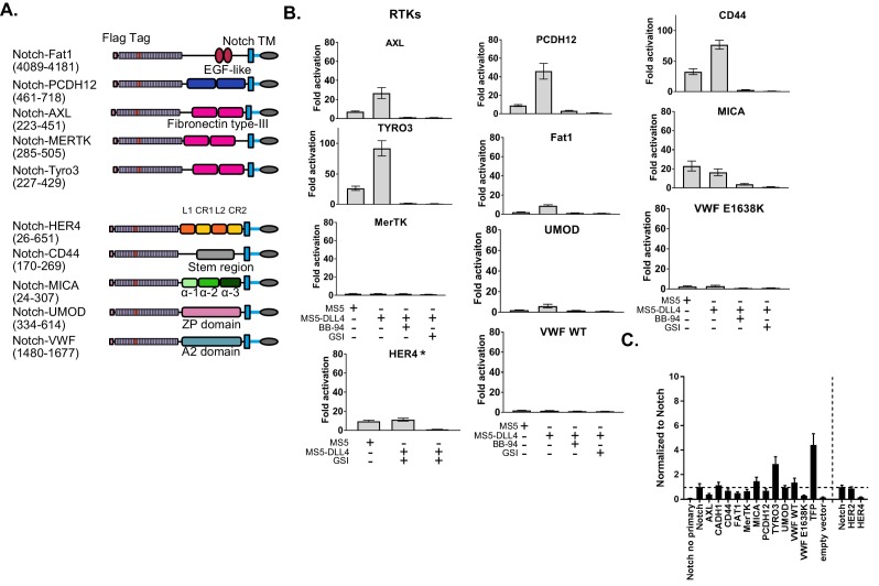 Figure 1—figure supplement 5.