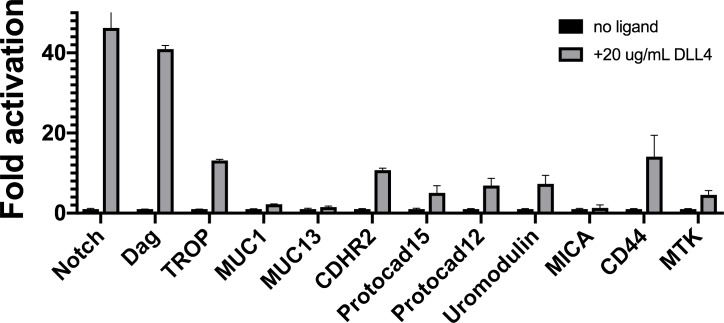 Figure 1—figure supplement 4.