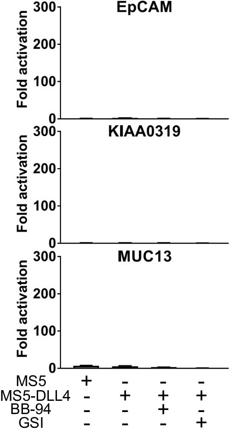 Figure 1—figure supplement 1.