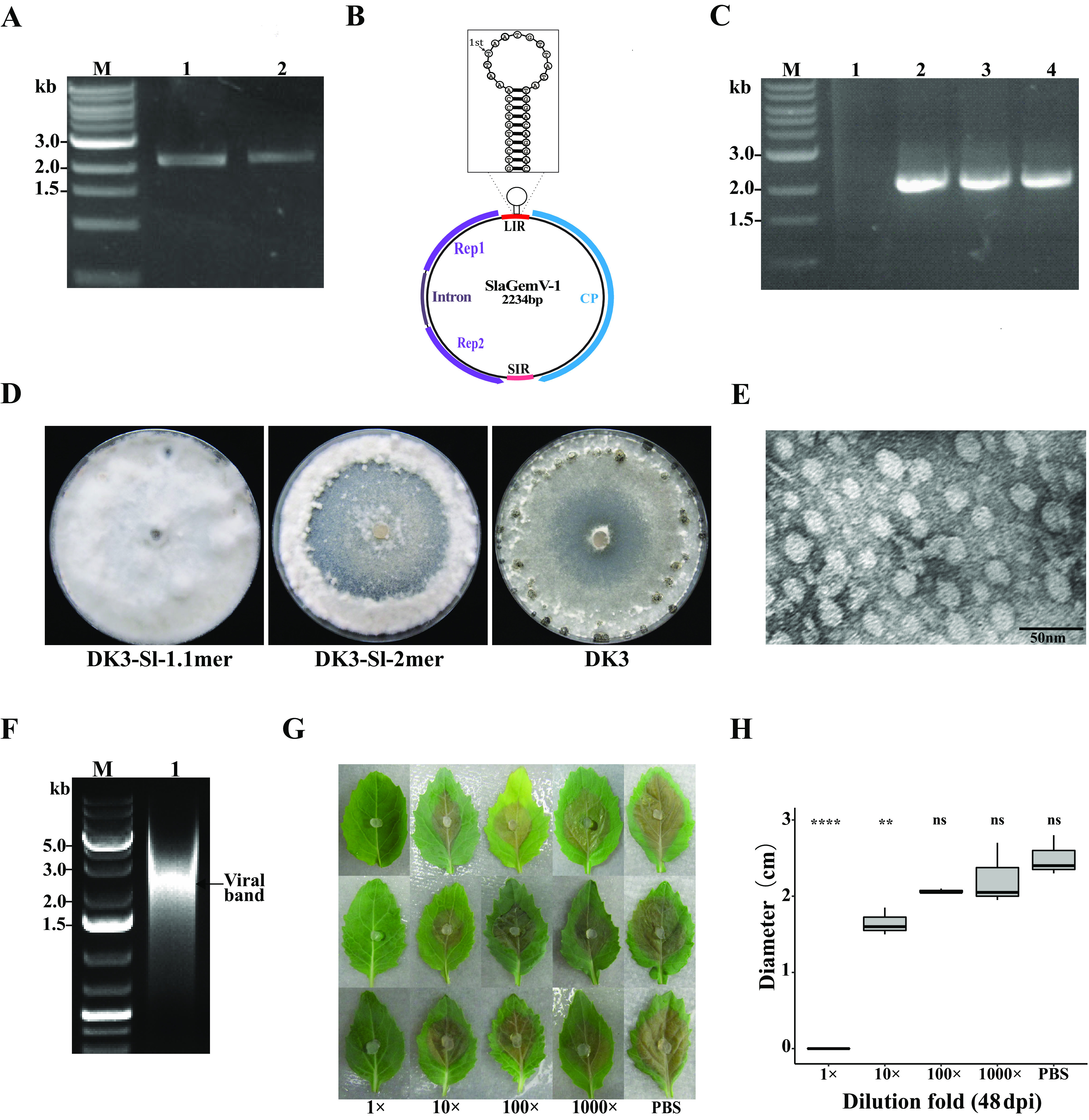 FIG 1