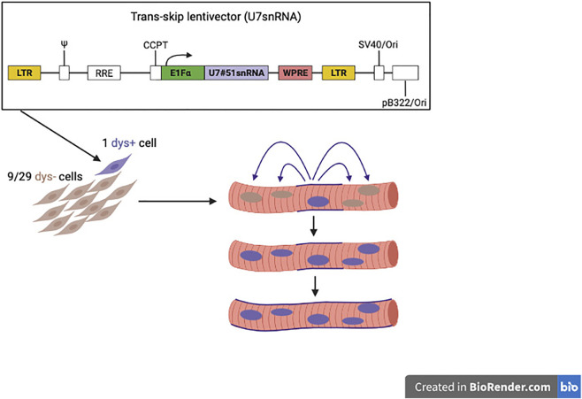 FIGURE 6