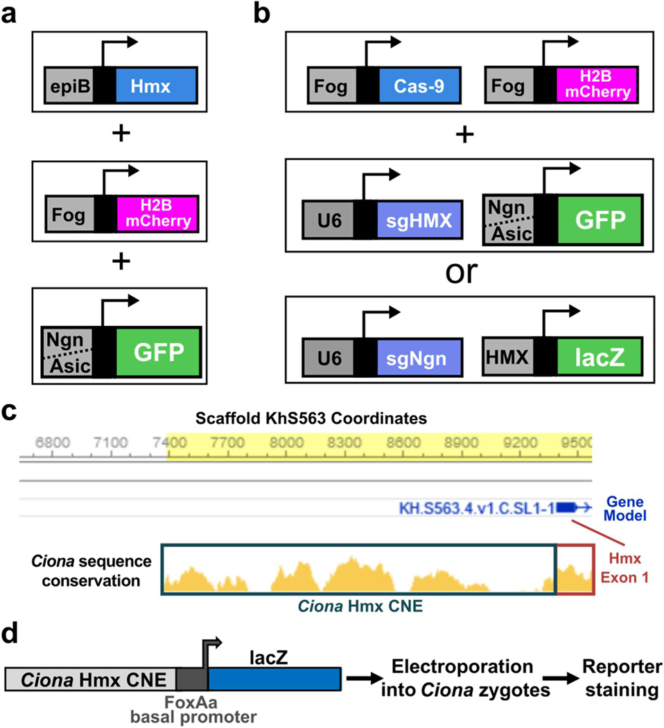 Extended Data Fig. 2