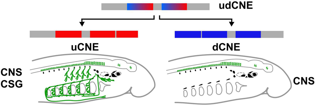 Extended Data Fig. 6.