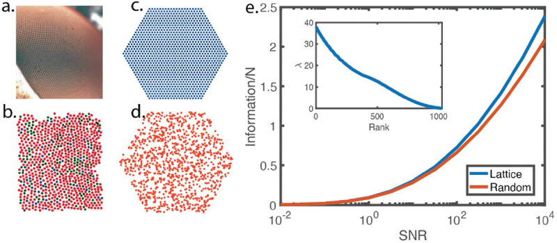 FIG. 1: