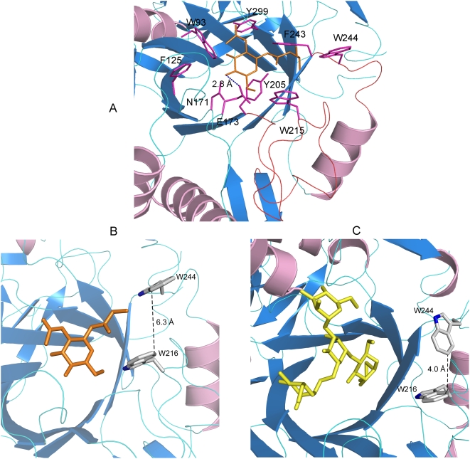 Figure 4