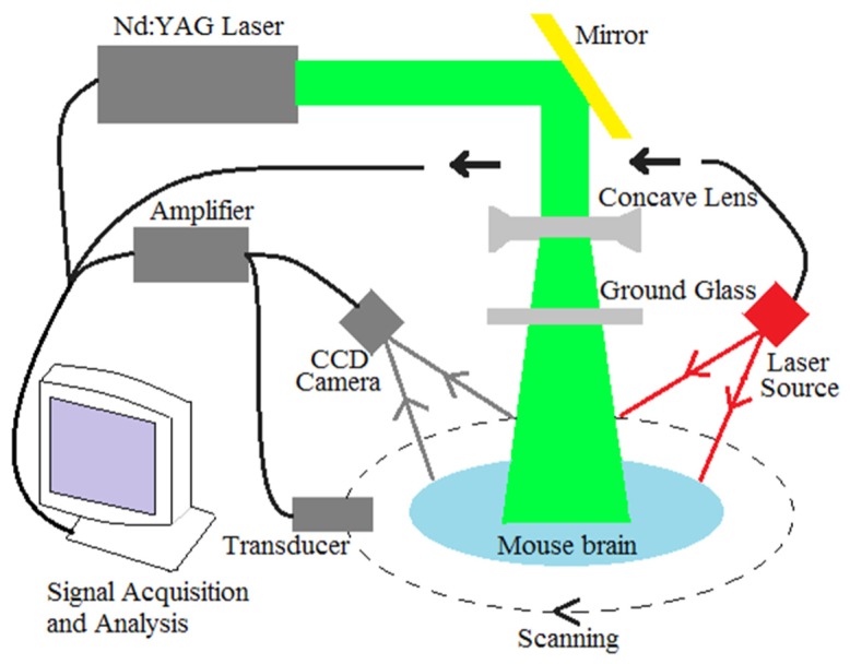 Fig. 1