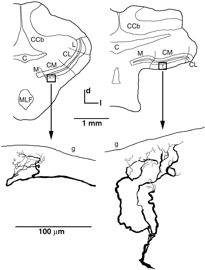 Fig. 7.