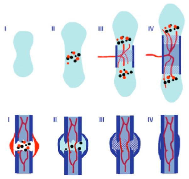 Fig. (1)