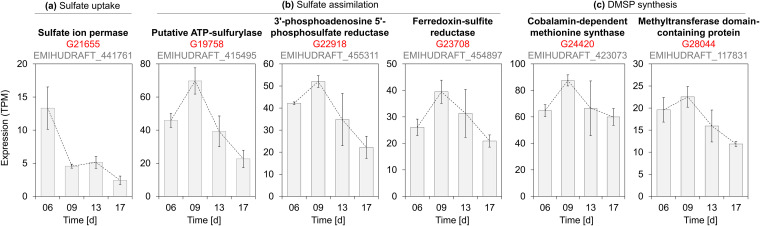 FIG 4