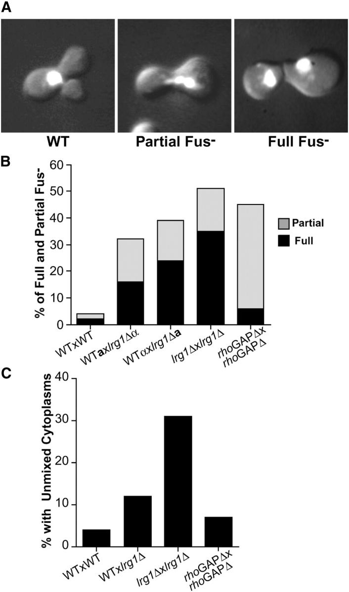 Figure 4.—