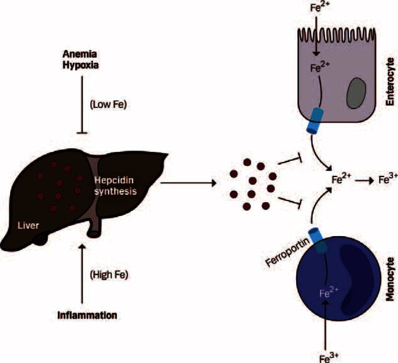 FIGURE 1