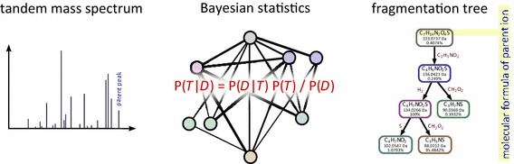 Graphical abstract