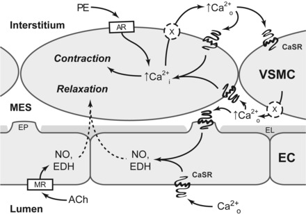 Fig. 8.