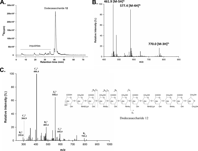 FIGURE 5.