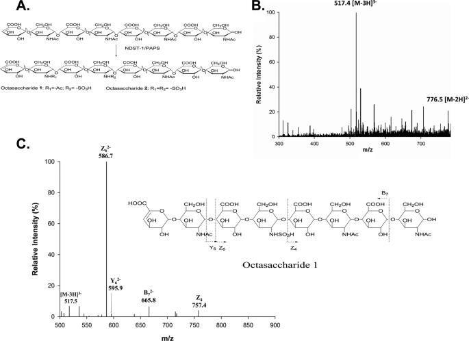 FIGURE 3.