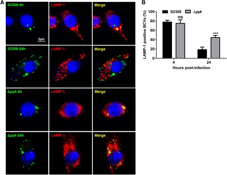 Figure 3