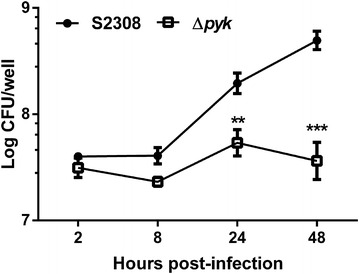 Figure 2