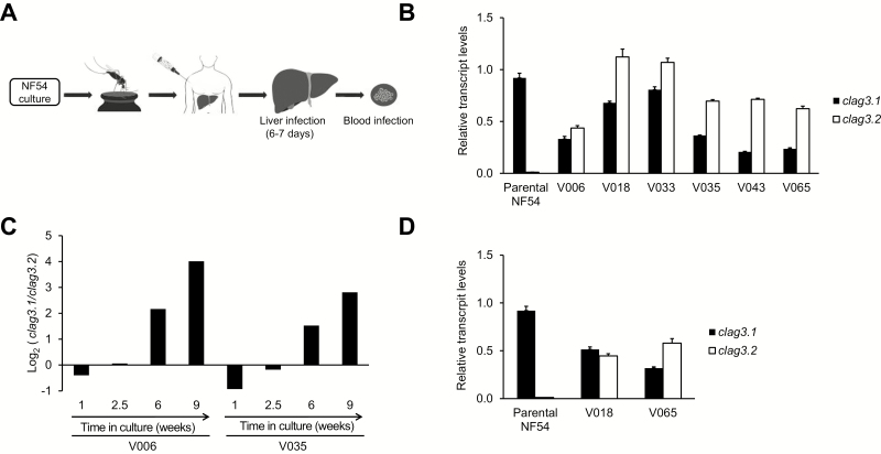 Figure 4.