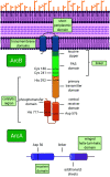FIG 2