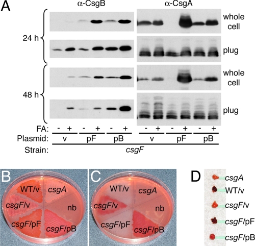 Fig. 4.