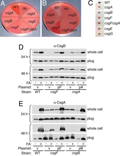 Fig. 3.