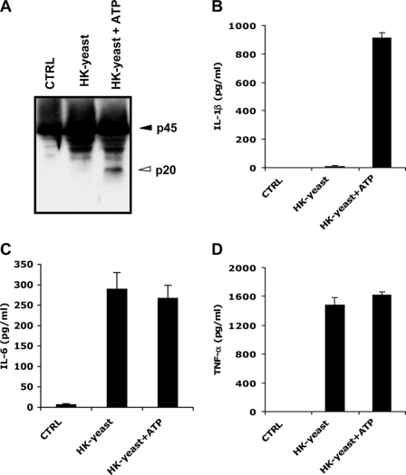 FIGURE 1.