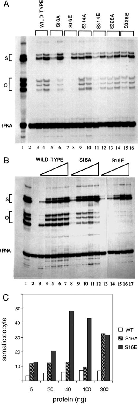 FIG.4.