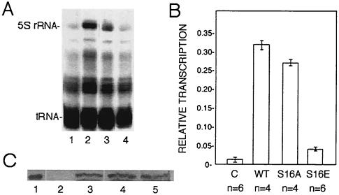 FIG. 5.