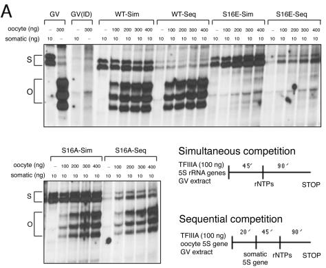 FIG. 6.