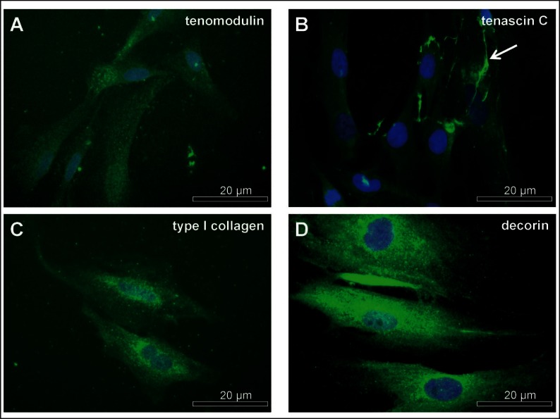 Figure 3A–D