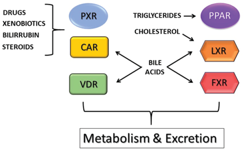 Figure 3: