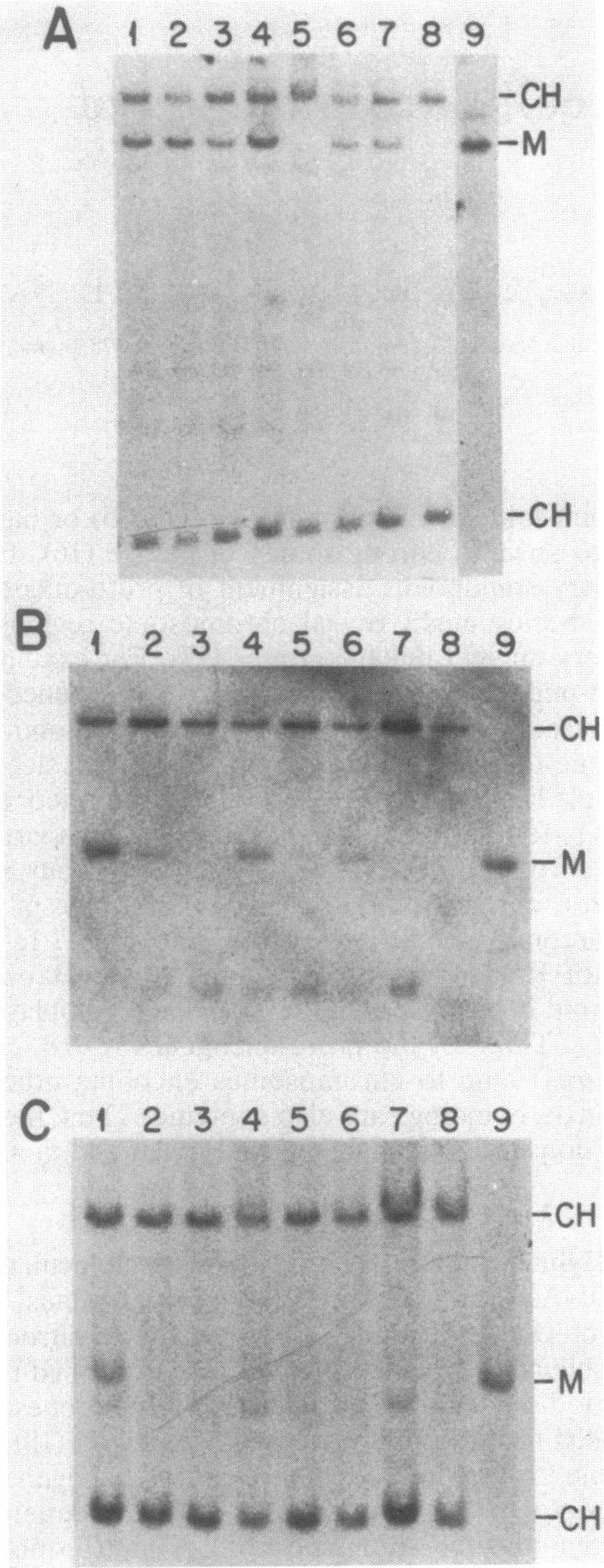 graphic file with name pnas00603-0245-a.jpg