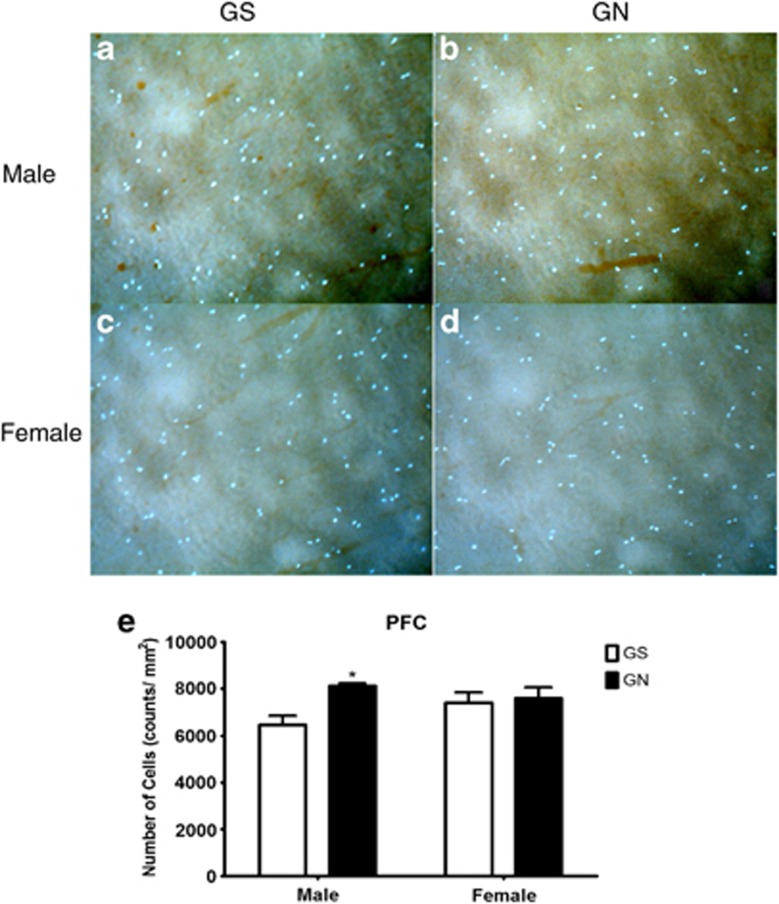 Figure 6