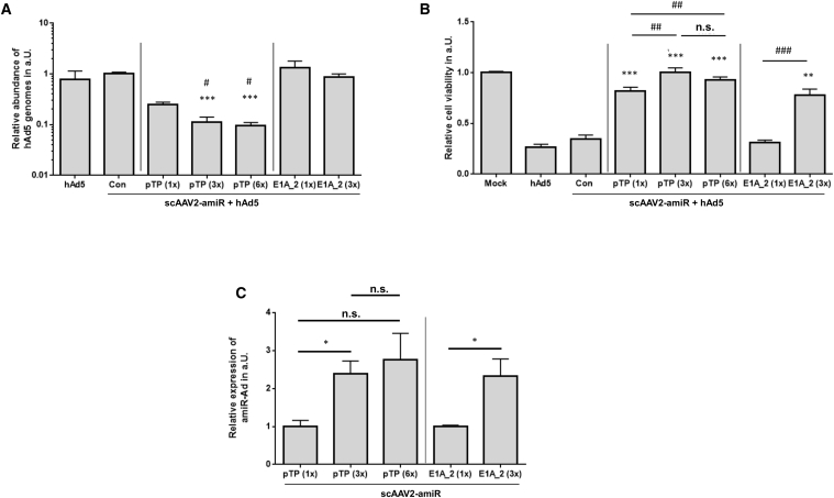 Figure 2