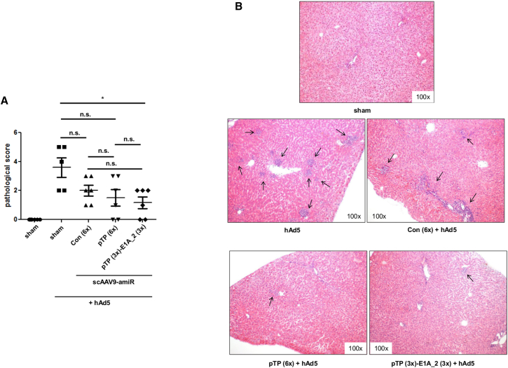 Figure 6