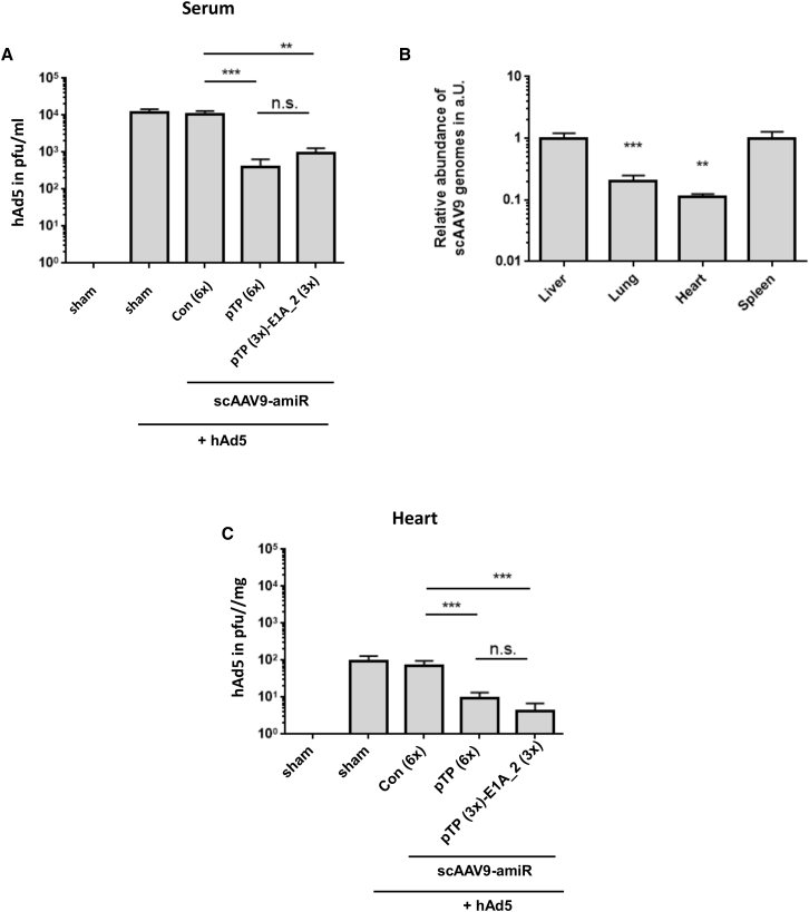 Figure 7