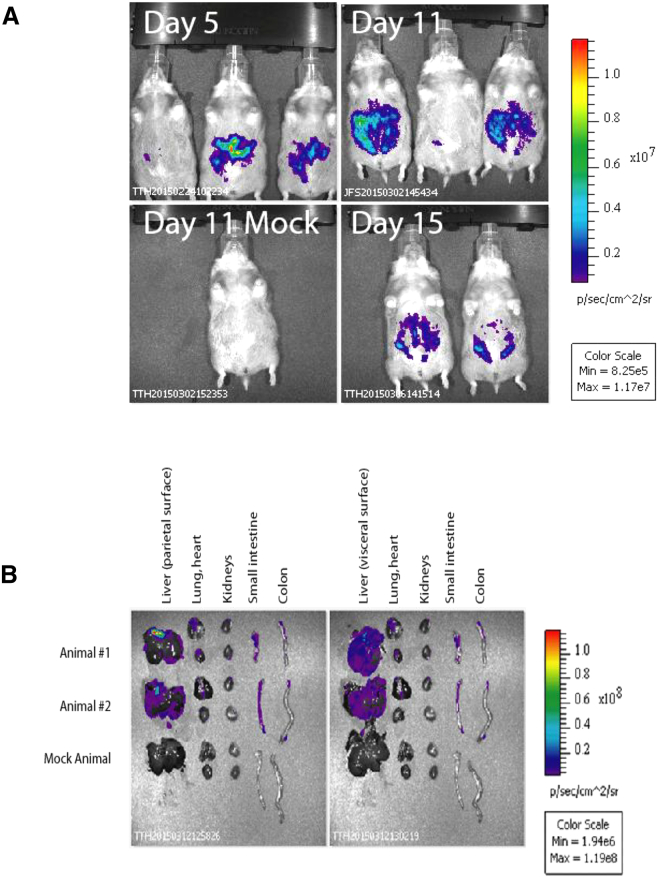 Figure 4