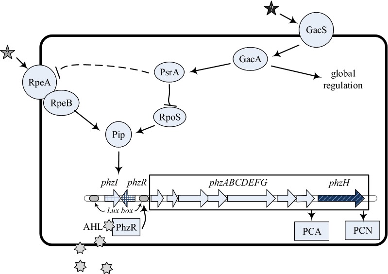 Fig. 6