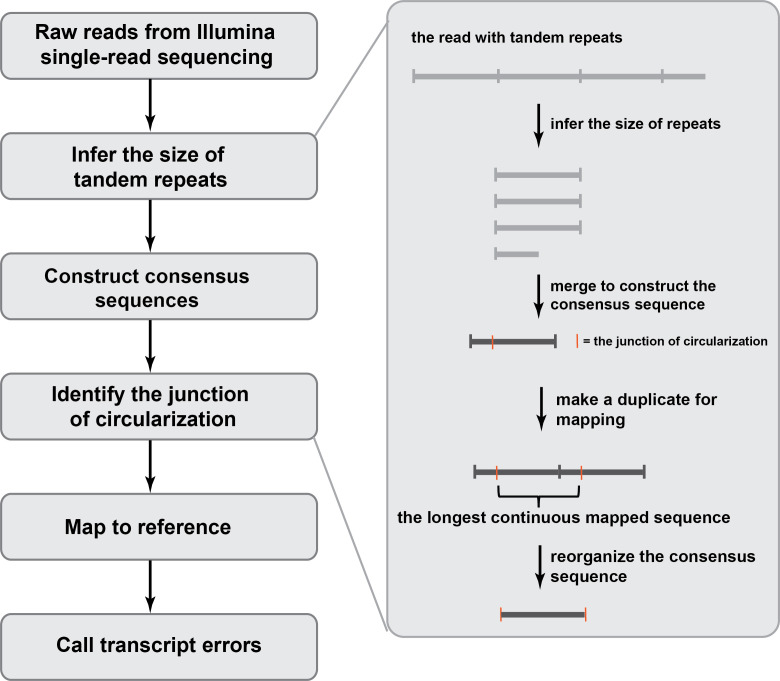 Figure 1—figure supplement 2.