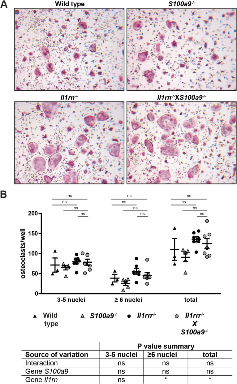 Fig. 4