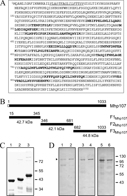 FIGURE 1.