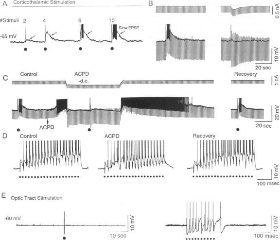 graphic file with name pnas01081-0276-a.jpg