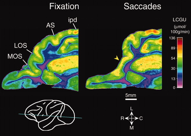 
Figure 11.
