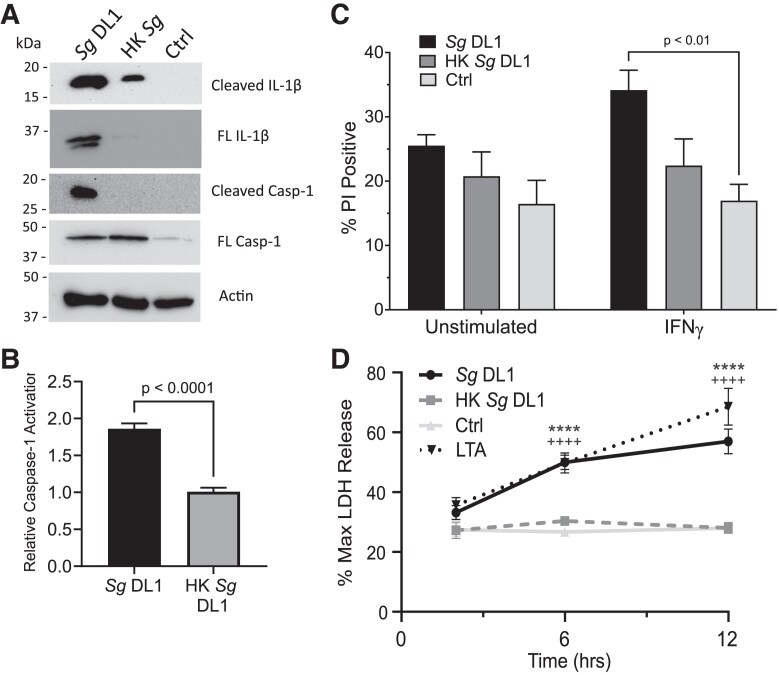 Fig. 4.