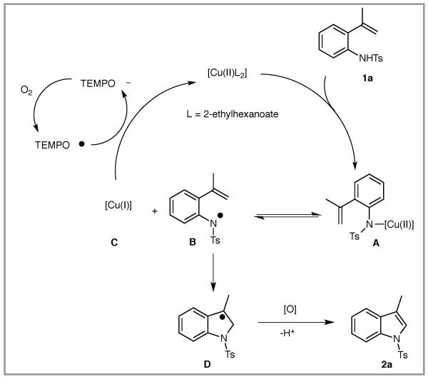 Scheme 2